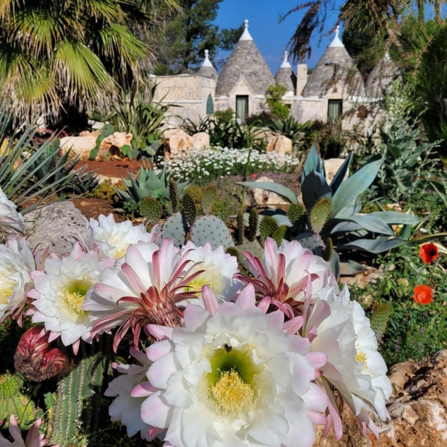 Trullo Bosco Libero Ostuni Villa Ngoại thất bức ảnh