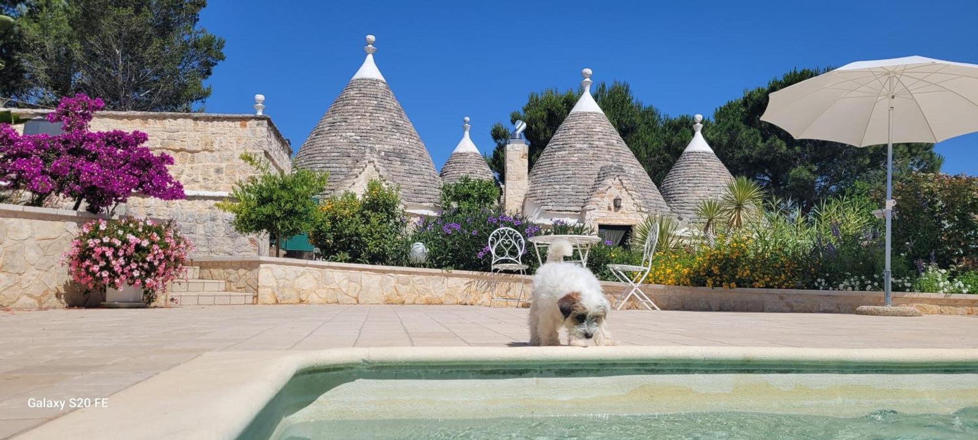 Trullo Bosco Libero Ostuni Villa Ngoại thất bức ảnh