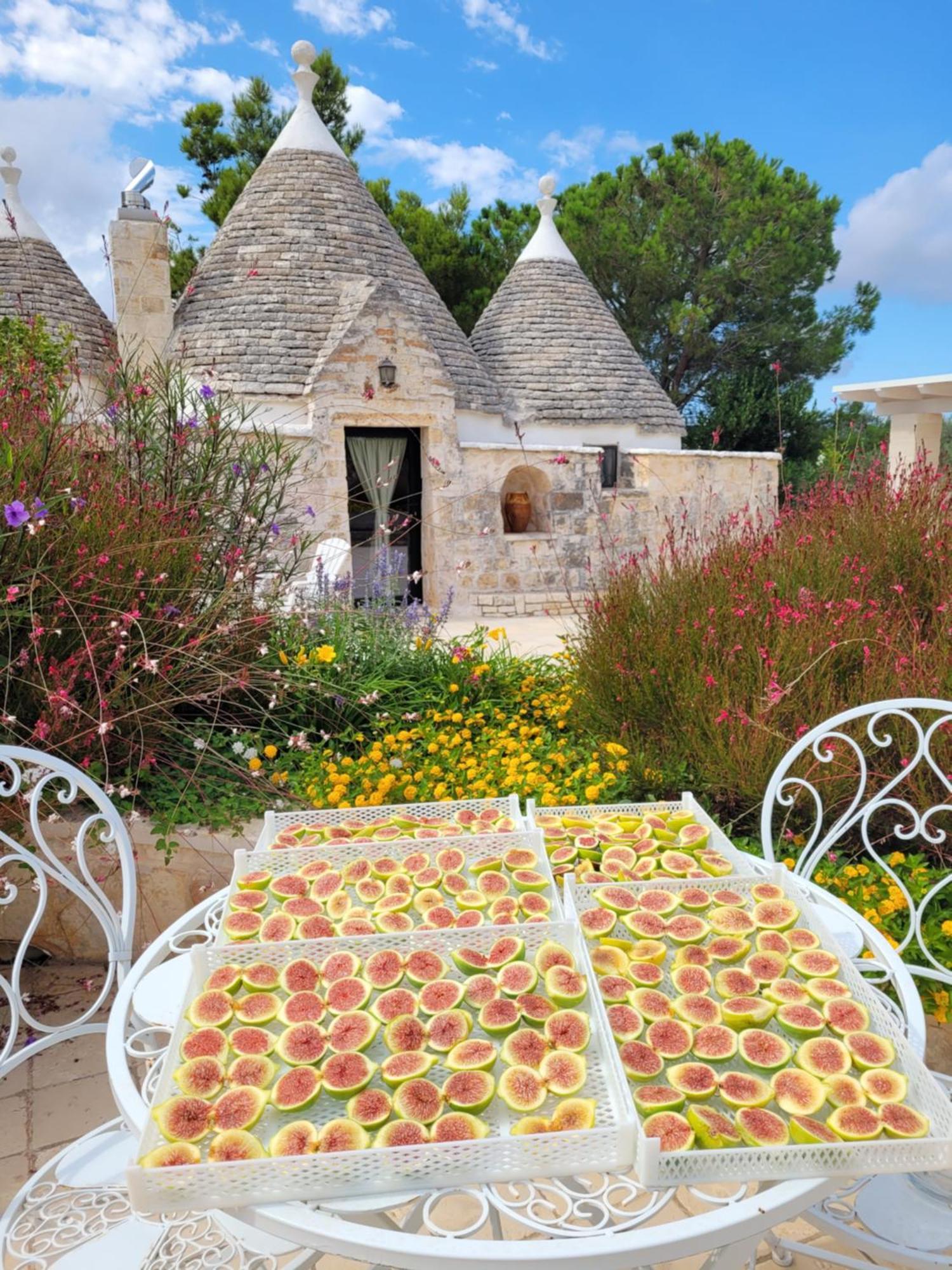 Trullo Bosco Libero Ostuni Villa Ngoại thất bức ảnh