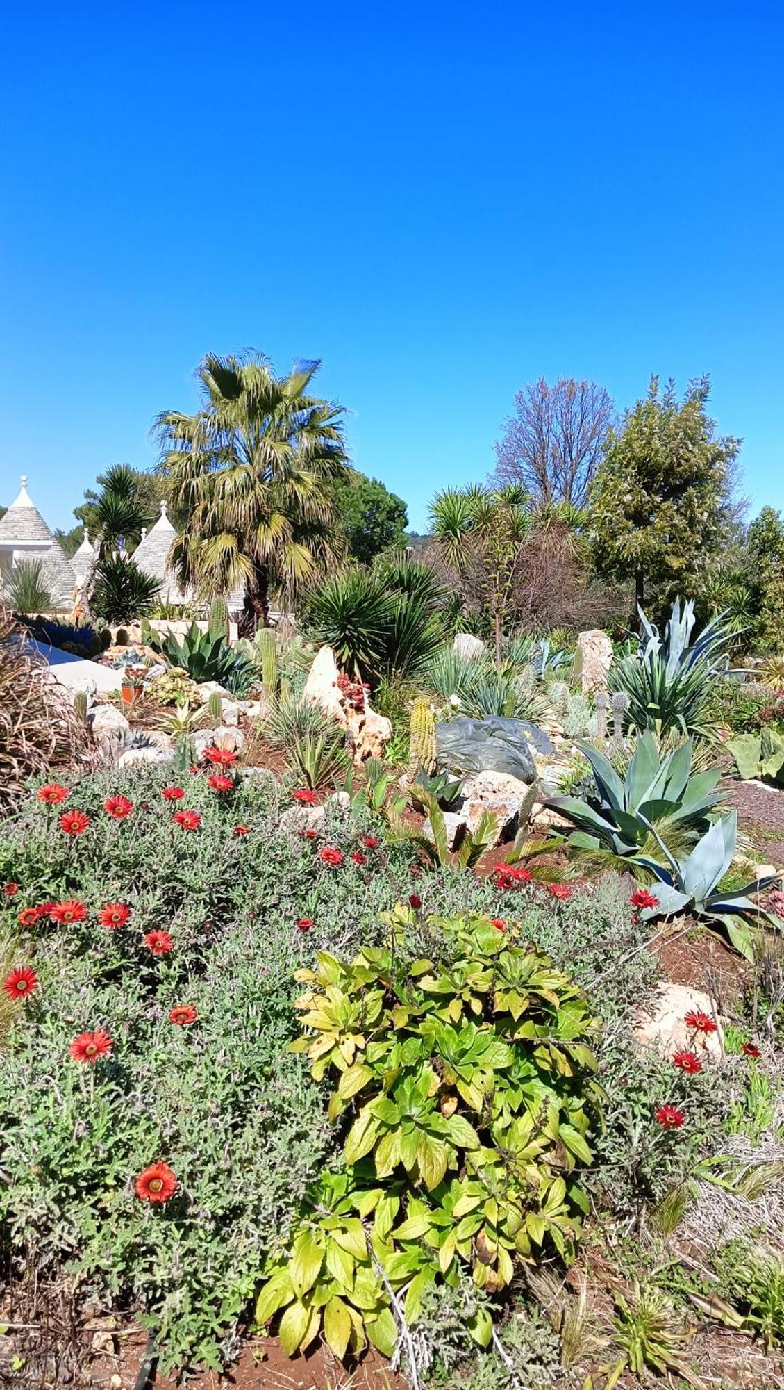 Trullo Bosco Libero Ostuni Villa Ngoại thất bức ảnh