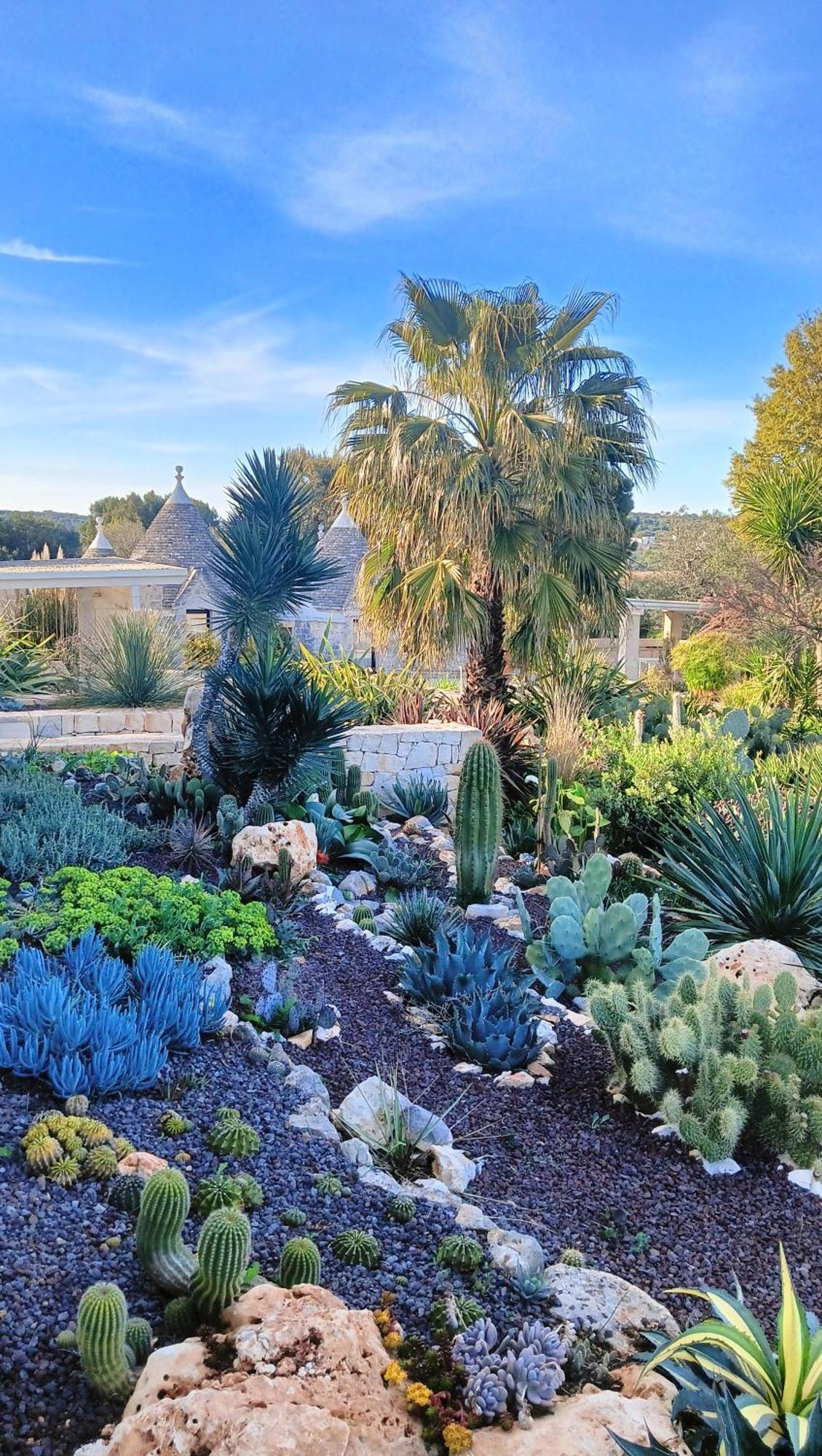 Trullo Bosco Libero Ostuni Villa Ngoại thất bức ảnh